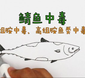 食品有意思：鯖魚(yú)中毒是怎么回事？ 
