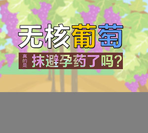食品安全科普：無核葡萄真的是抹了避孕藥了嗎？