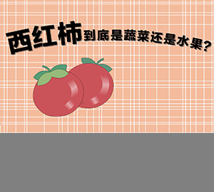 西紅柿到底是蔬菜還是水果？