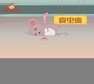 科普視頻:可怕的豬囊尾蚴?。? style=