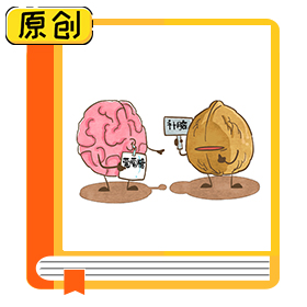 食品科普：多吃核桃真的會變聰明嗎？（食育） (1)